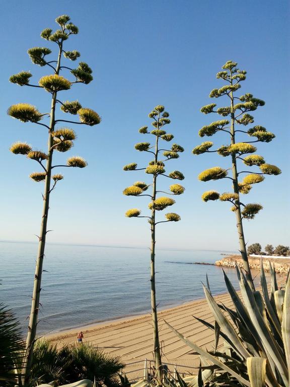Villa Del Mar Avola Εξωτερικό φωτογραφία